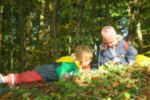 Flora und Fauna erforschen Flora und Fauna erforschen