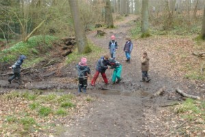 Waldabenteuer Waldabenteuer
